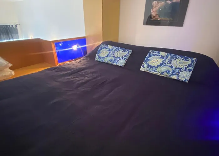 The Cats Tower * רומא