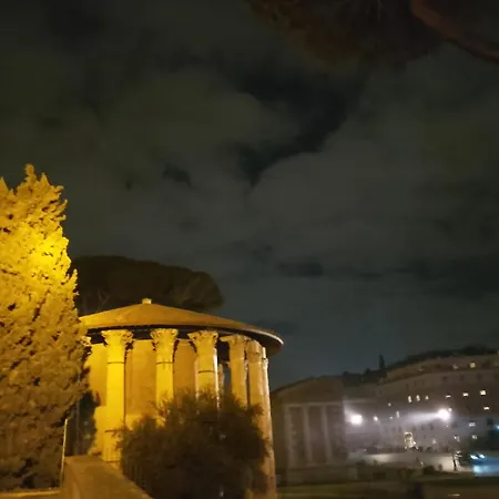 The Cats Tower * Roma